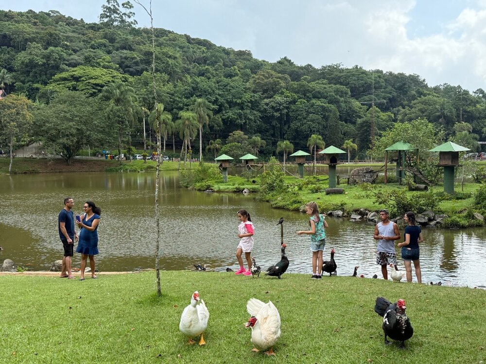 IMG_2569 - Copia.JPG