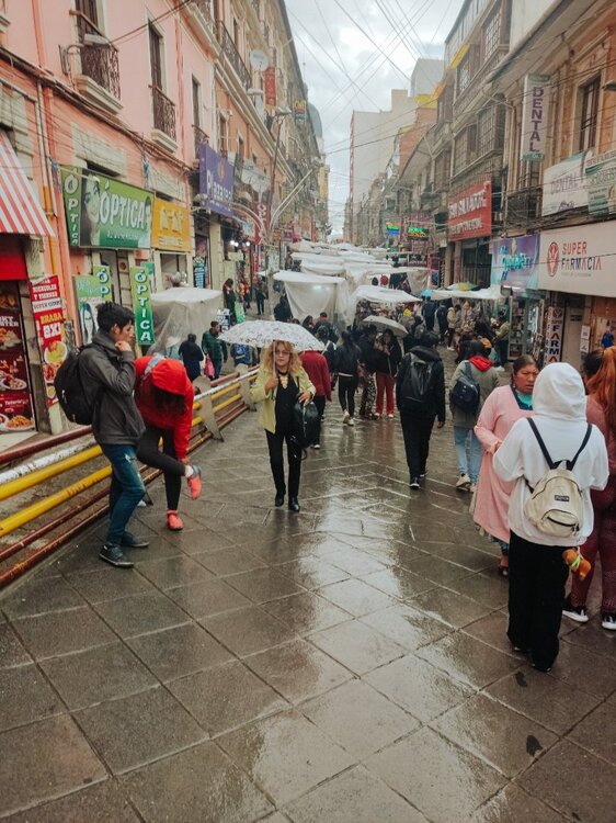 IMG_20250129_154007 (1).jpg