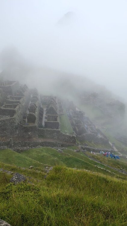 WhatsApp Image 2025-04-22 at 21.48.49(1).jpeg