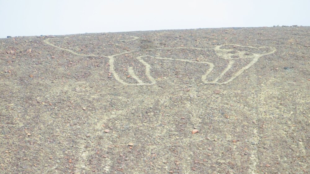 IMG_0026 - Copia (7).JPG