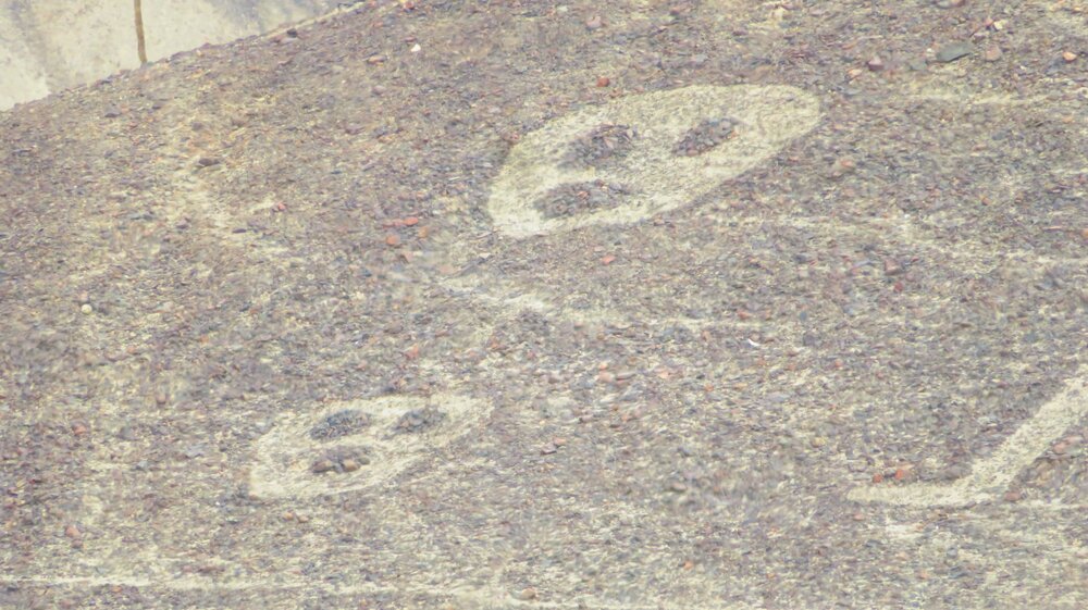 IMG_0032 - Copia (6).JPG