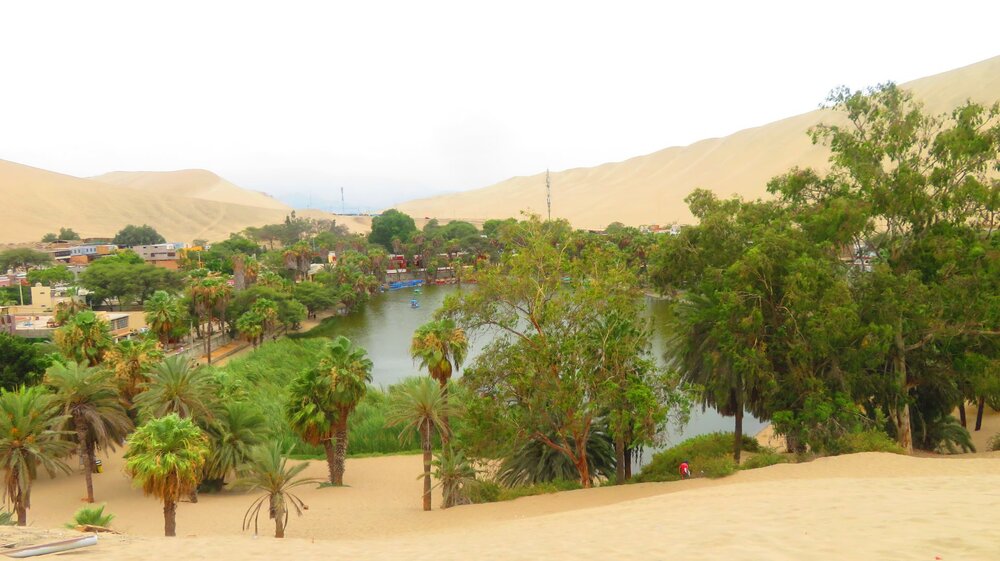 IMG_0057 - Copia (3).JPG