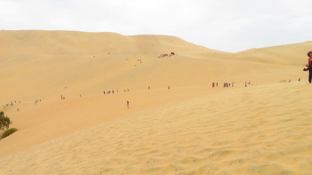 IMG_0059 - Copia (2).JPG