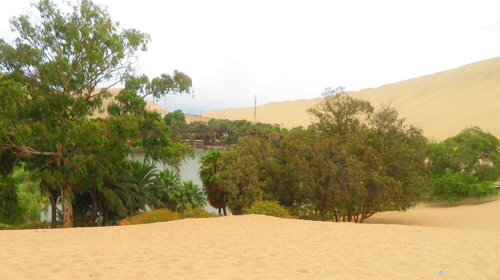 IMG_0062 - Copia (3).JPG