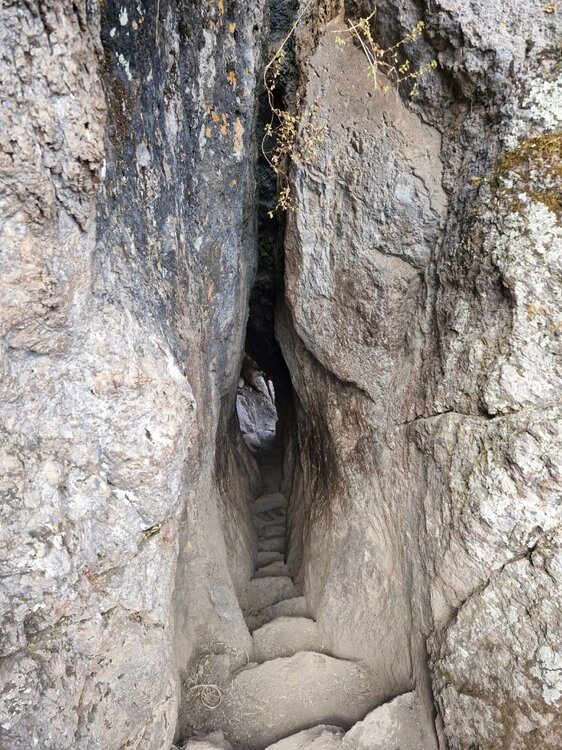 WhatsApp Image 2025-08-18 at 17.06.24.jpeg