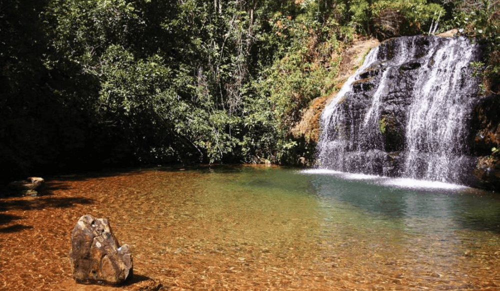 Cachoeira-da-Cascatinha-localizada-no-Parque-Estadual-da-Serra-de-Caldas-Foto-PESCAN.thumb.png.cdb98d4e92b3656fdf2f183ced383471.png