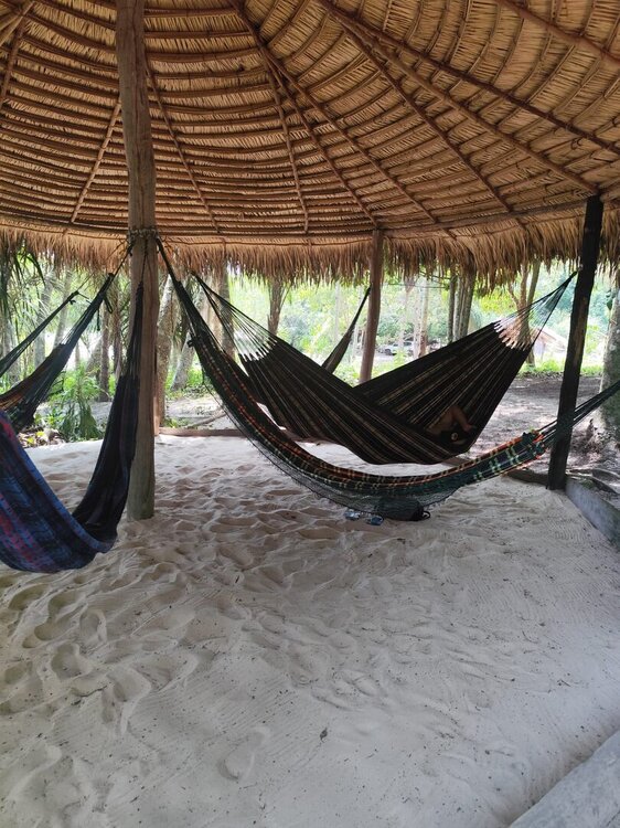 WhatsApp Image 2026-02-12 at 08.44.22 (1).jpeg