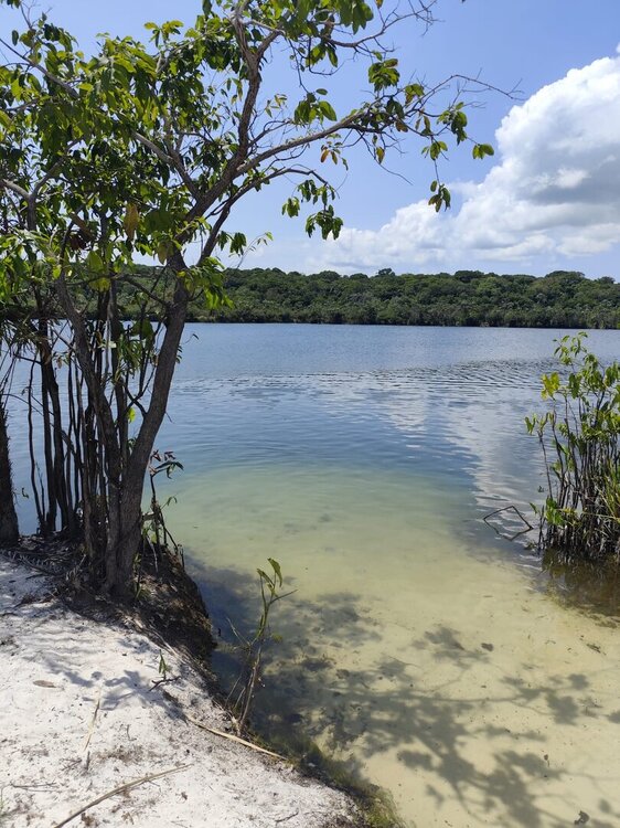 WhatsApp Image 2026-02-12 at 08.44.23 (1).jpeg