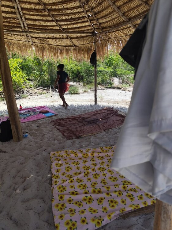 WhatsApp Image 2026-02-12 at 08.44.23 (2).jpeg