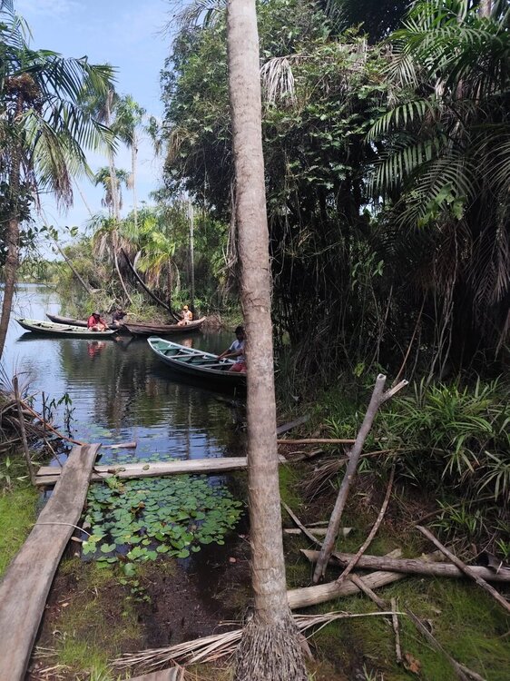 WhatsApp Image 2026-02-12 at 08.44.24 (1).jpeg