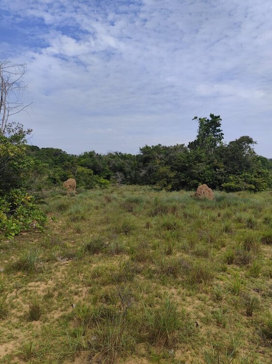 WhatsApp Image 2026-02-12 at 08.44.24 (2).jpeg