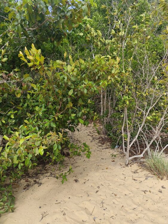 WhatsApp Image 2026-02-12 at 08.44.24 (3).jpeg