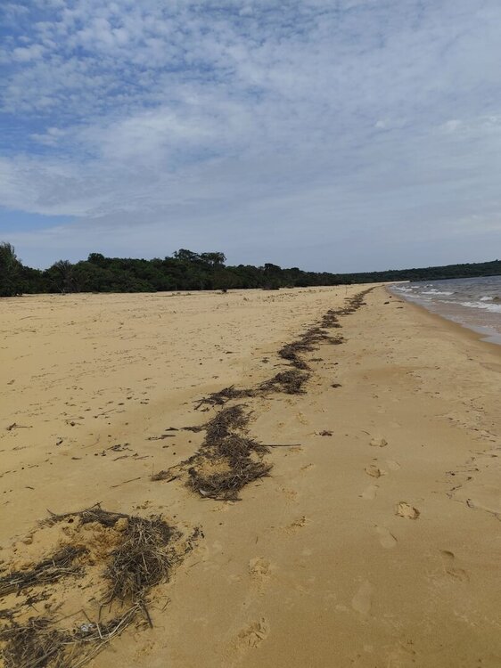 WhatsApp Image 2026-02-12 at 08.44.24 (4).jpeg