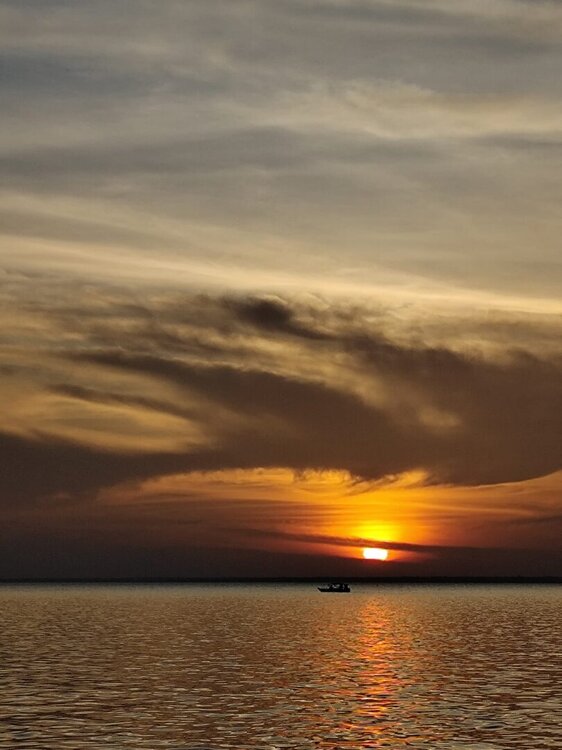 WhatsApp Image 2026-02-12 at 08.44.19.jpeg