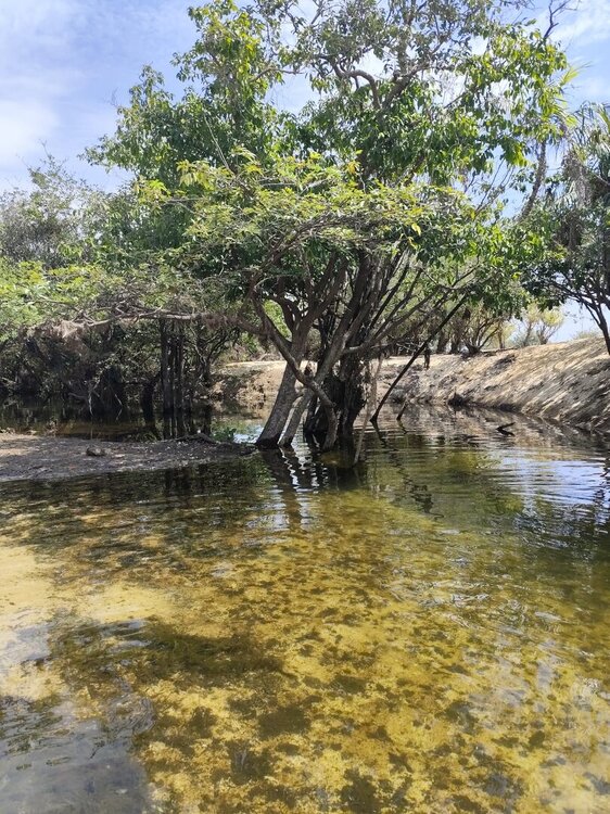 WhatsApp Image 2026-02-12 at 08.44.22.jpeg