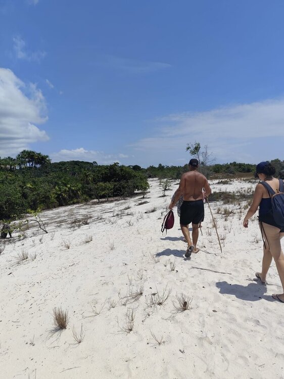 WhatsApp Image 2026-02-12 at 08.44.23.jpeg