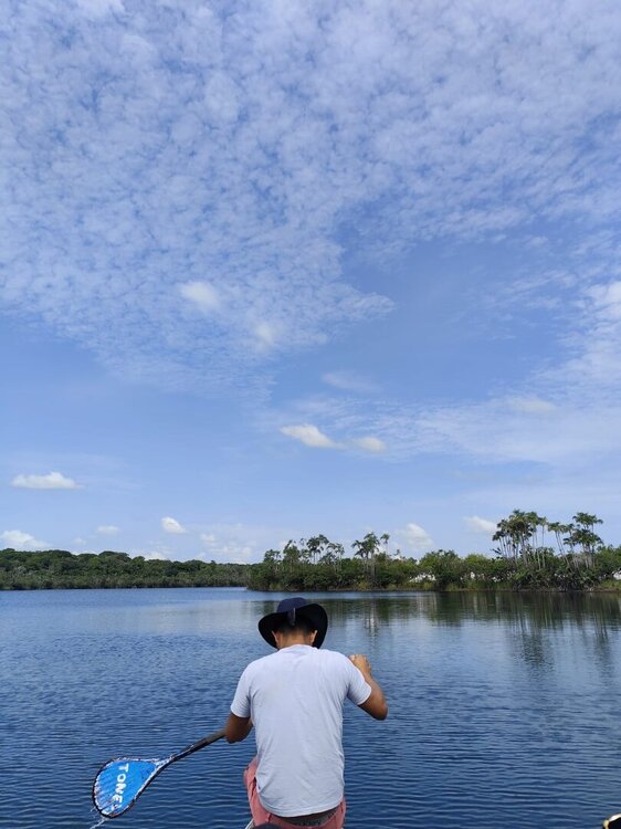 WhatsApp Image 2026-02-12 at 08.44.24.jpeg