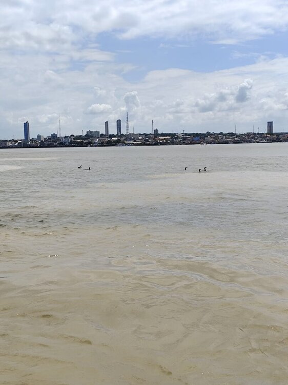 WhatsApp Image 2026-02-22 at 18.48.55 (3).jpeg