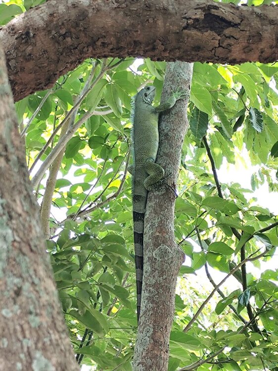 WhatsApp Image 2026-02-22 at 18.48.55 (4).jpeg