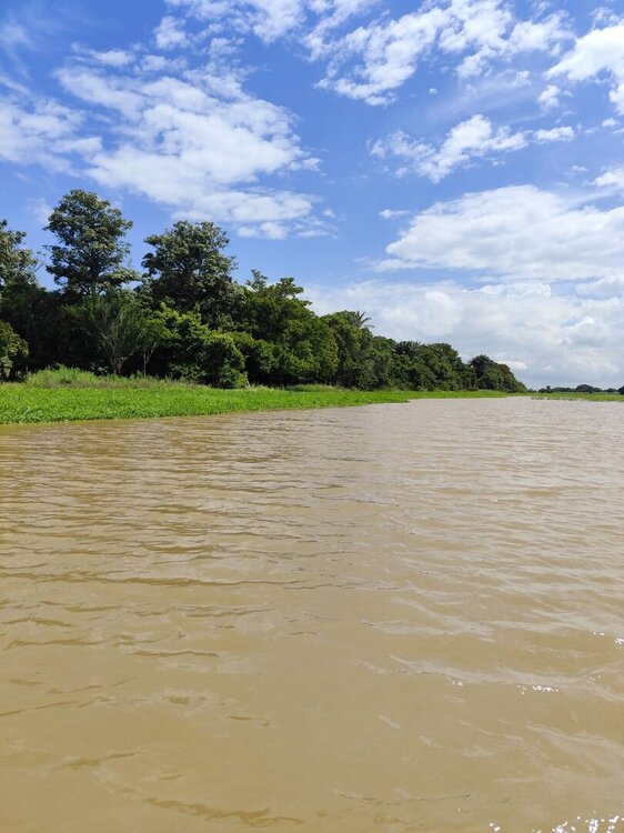 WhatsApp Image 2026-02-22 at 18.48.56 (3).jpeg