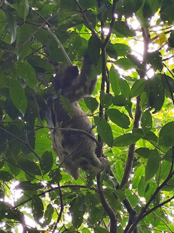 WhatsApp Image 2026-02-22 at 18.48.57 (1).jpeg