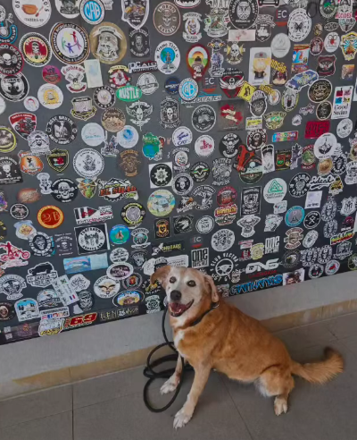 Iniciando meu primeiro mochilão