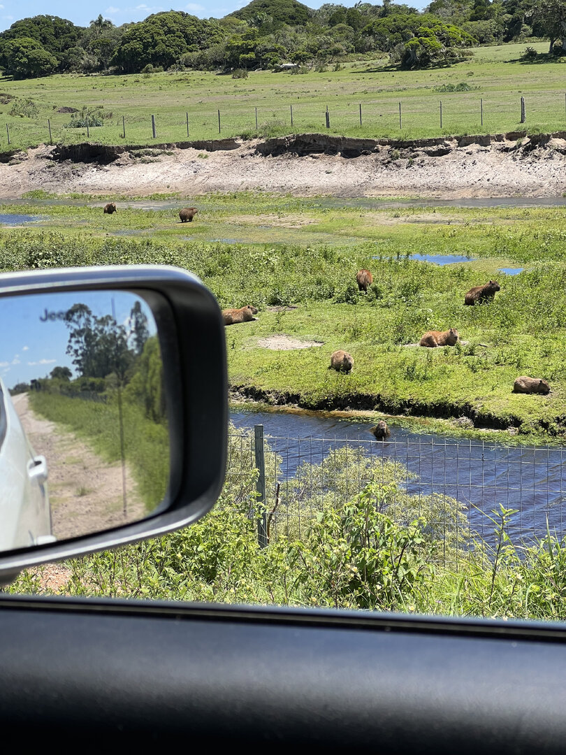 🌎 ROADTRIP – CARNAVAL 2025 | URUGUAI E ARGENTINA