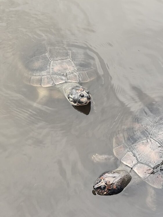 WhatsApp Image 2026-04-25 at 21.57.55 (2).jpeg