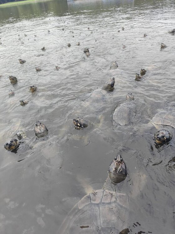 WhatsApp Image 2026-04-25 at 21.57.55 (3).jpeg