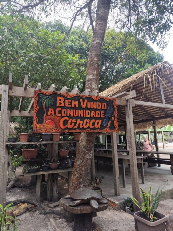 WhatsApp Image 2026-04-25 at 21.57.55 (4).jpeg