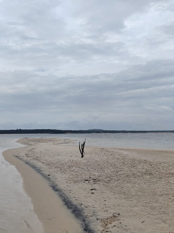 WhatsApp Image 2026-04-25 at 21.57.56 (2).jpeg