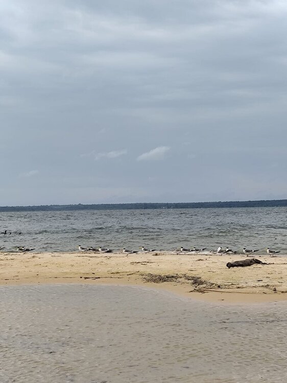 WhatsApp Image 2026-04-25 at 21.57.56 (3).jpeg