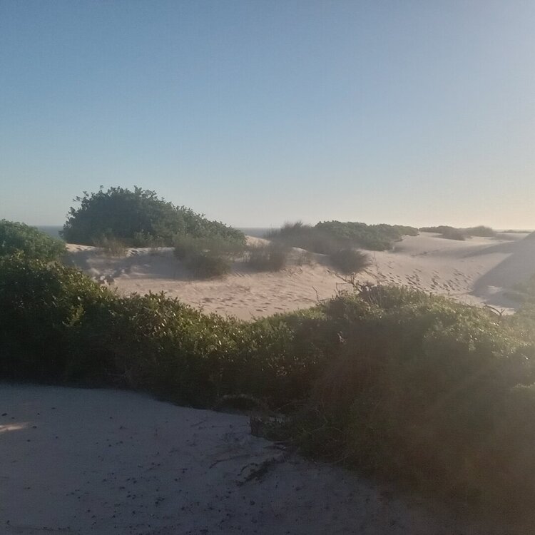 20260309_175502.jpg
