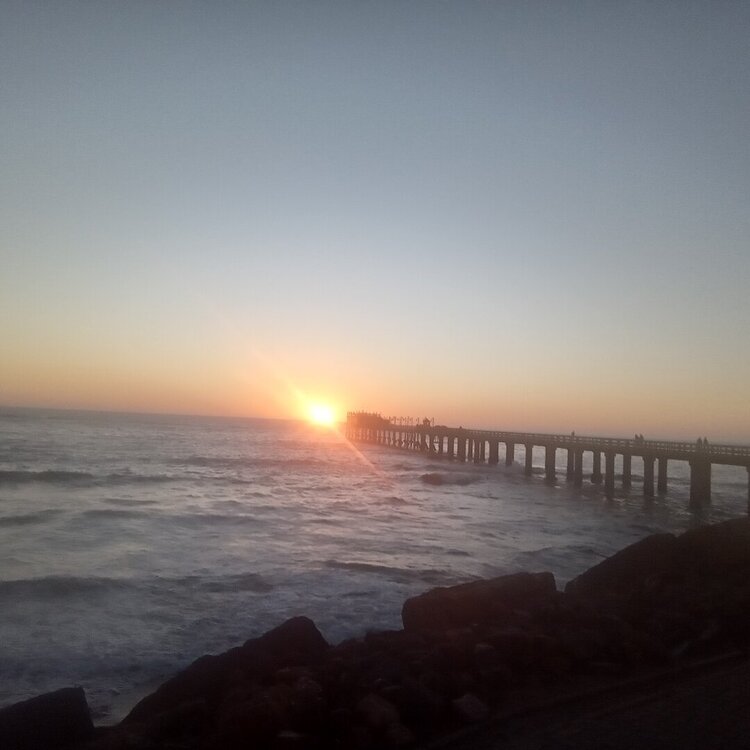 20260414_184711.jpg