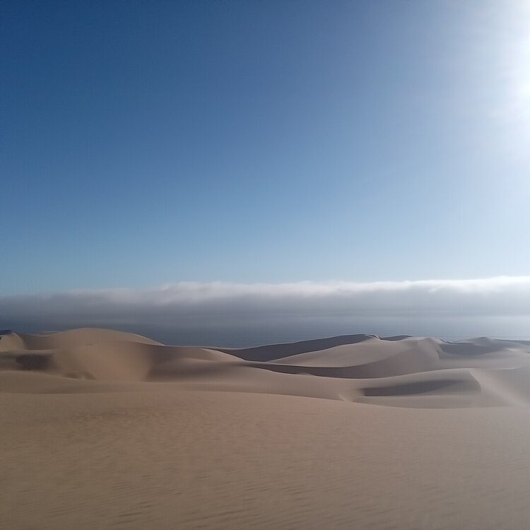 20260415_171240.jpg