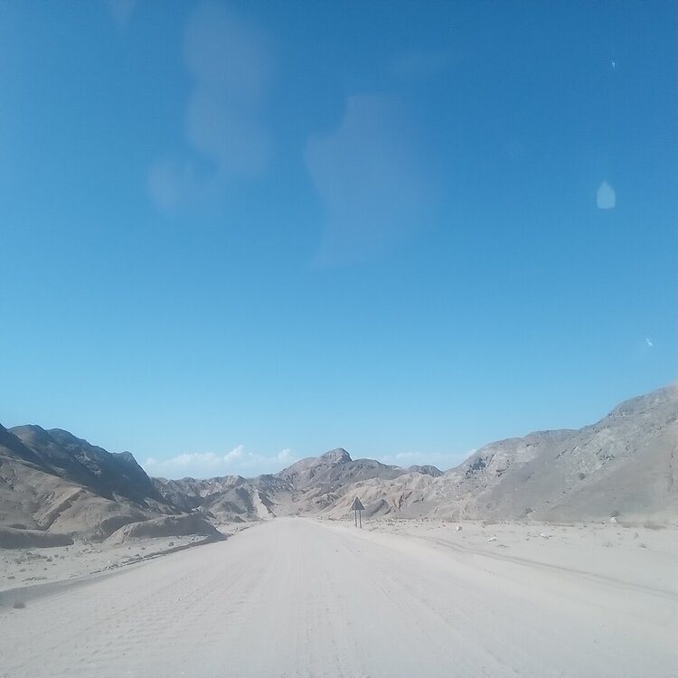 20260416_152445.jpg