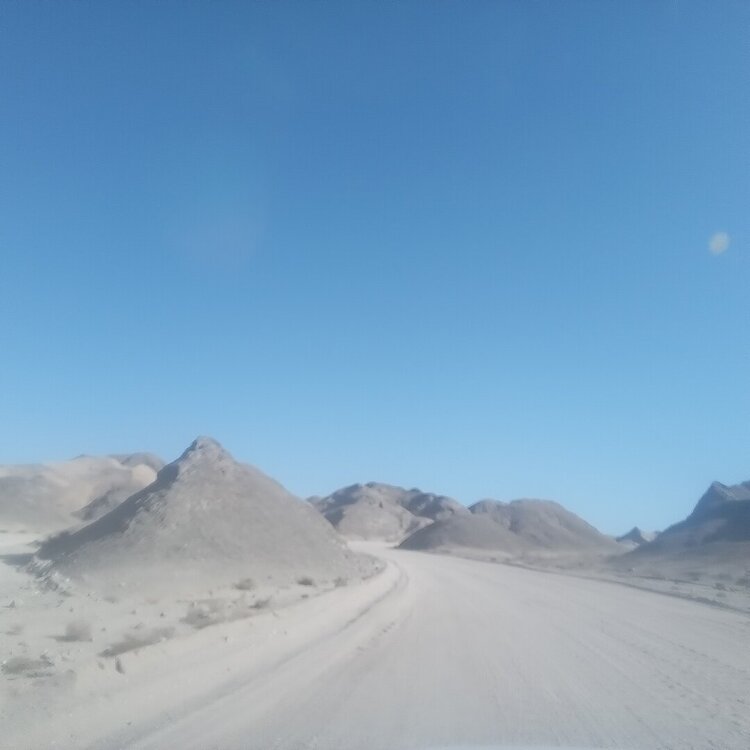 20260416_162859.jpg