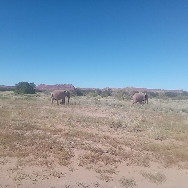 20260419_101501.jpg