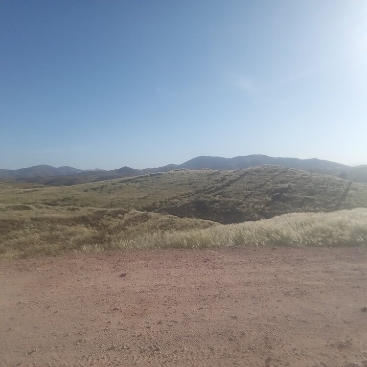 20260426_085827.jpg