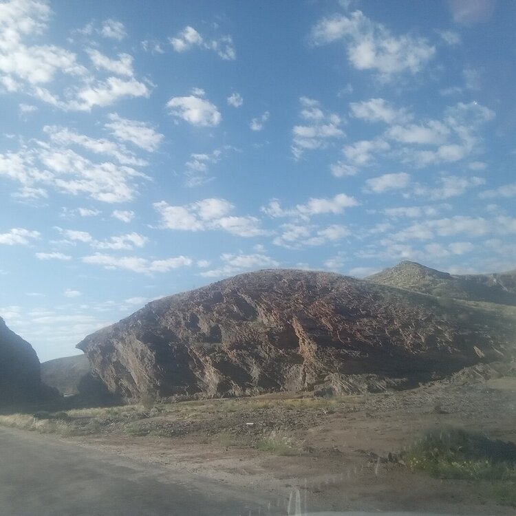 20260426_090106.jpg