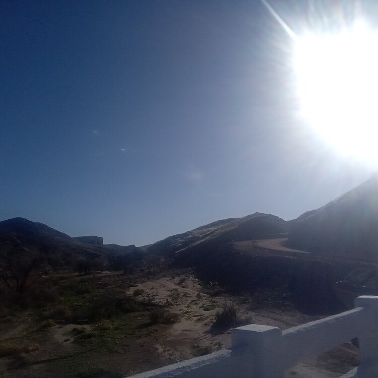 20260426_090343.jpg