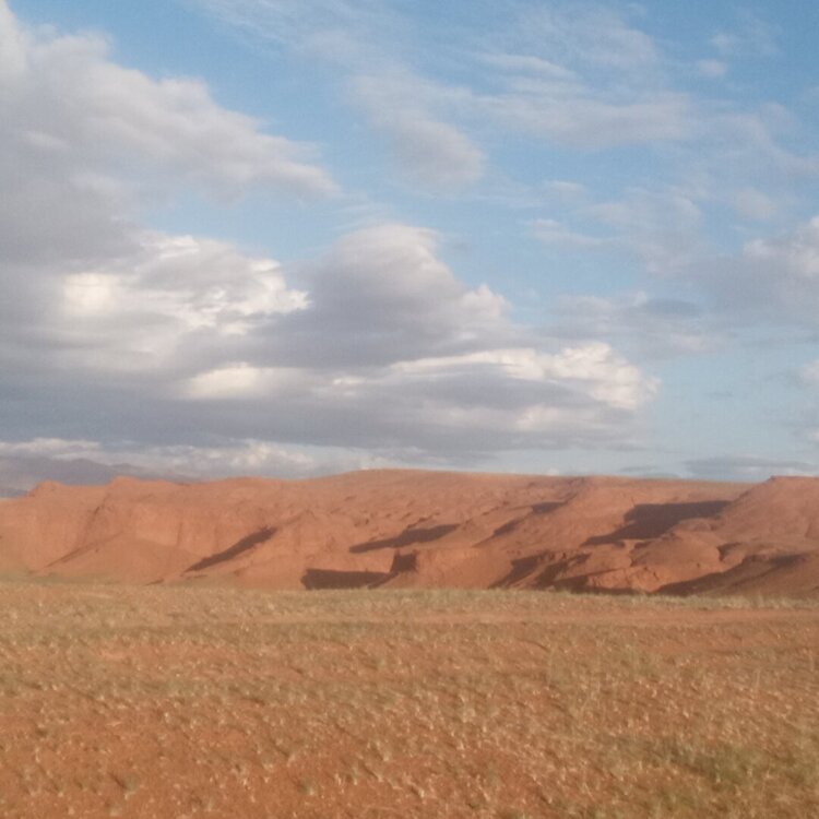 20260426_175200.jpg