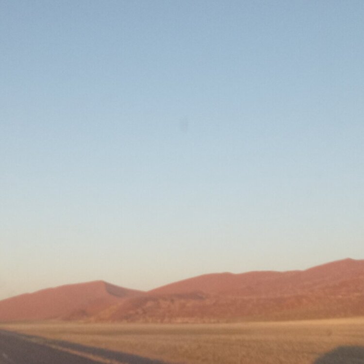 20260427_072917.jpg