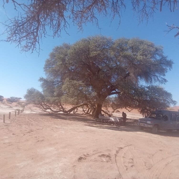 20260427_104916.jpg