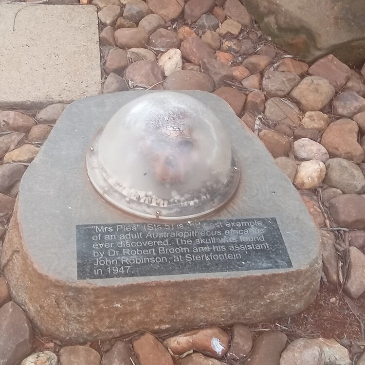 20260224_121114.jpg