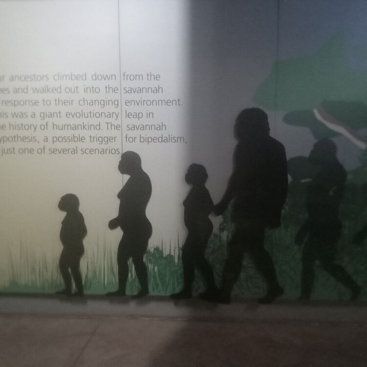 20260224_125355.jpg