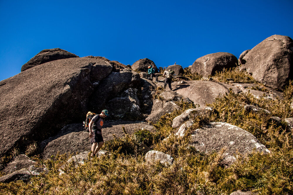 IMG_5983.jpg