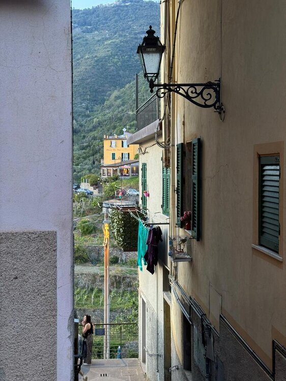 WhatsApp Image 2026-08-27 at 12.44.10 (13).jpeg