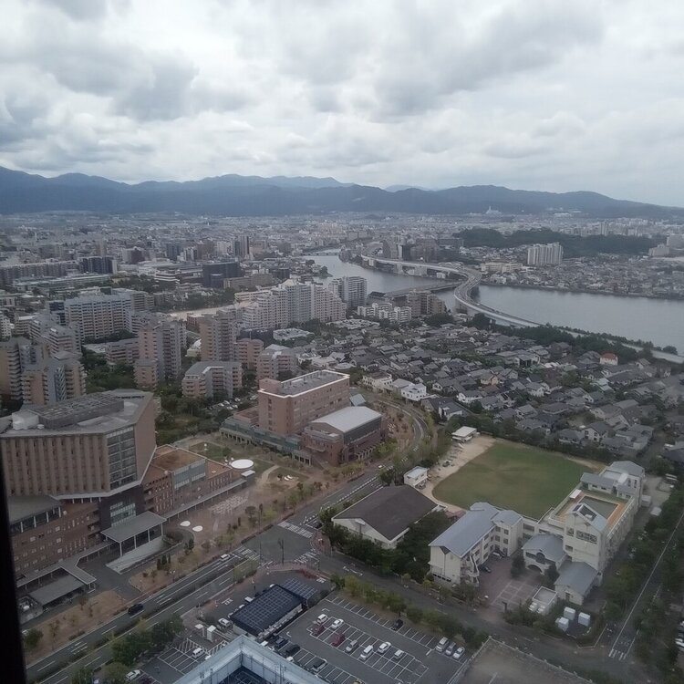 20260817_122046.jpg